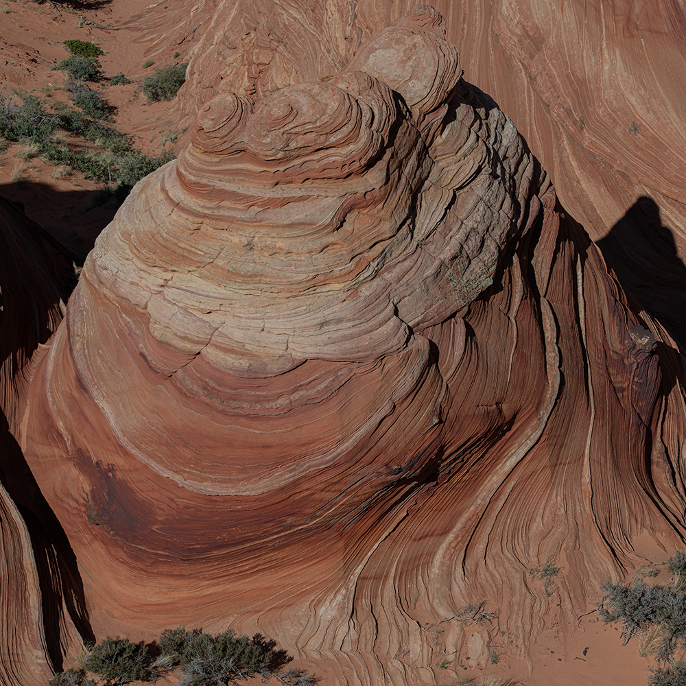 Stacks Image 878