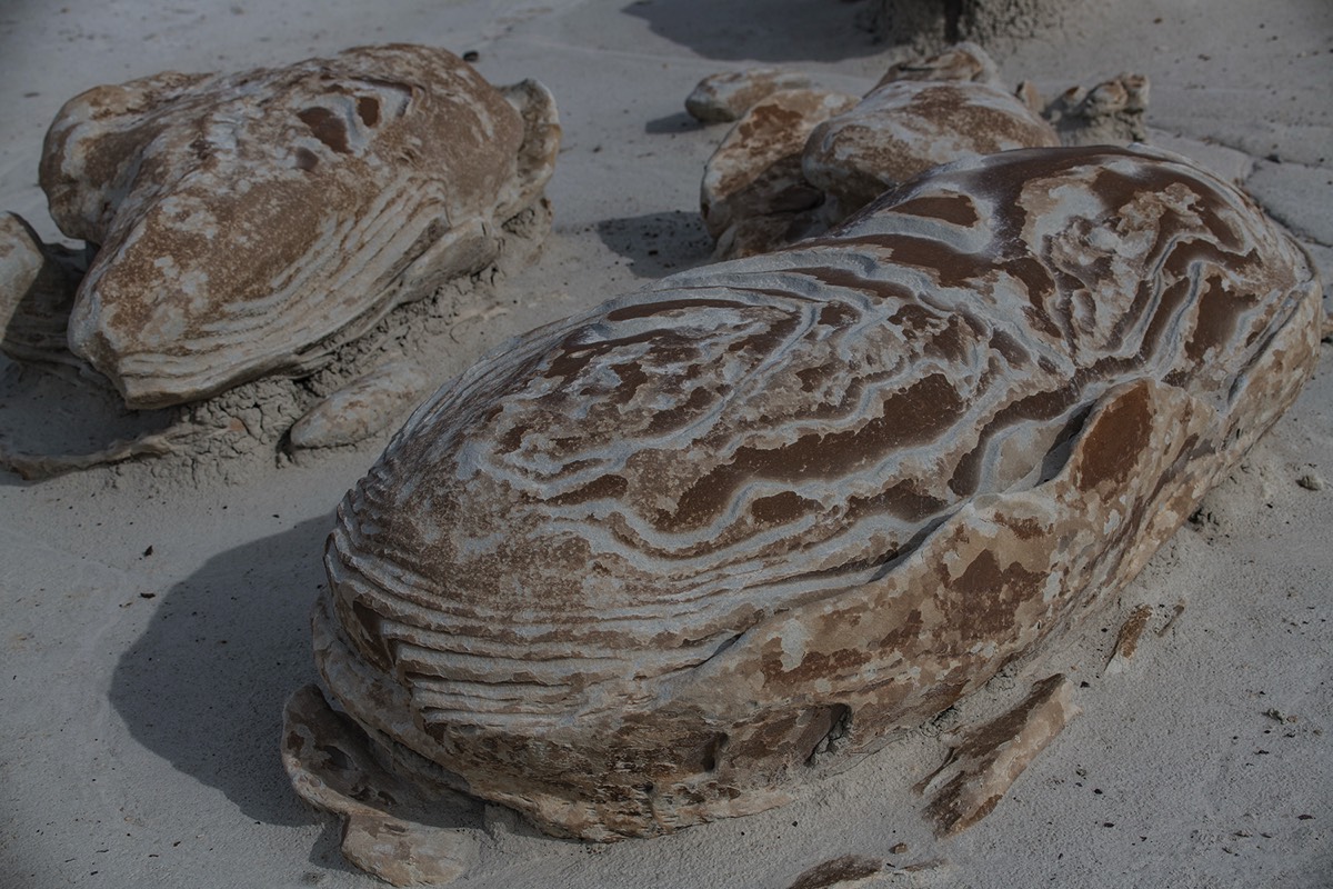 Stacks Image 71