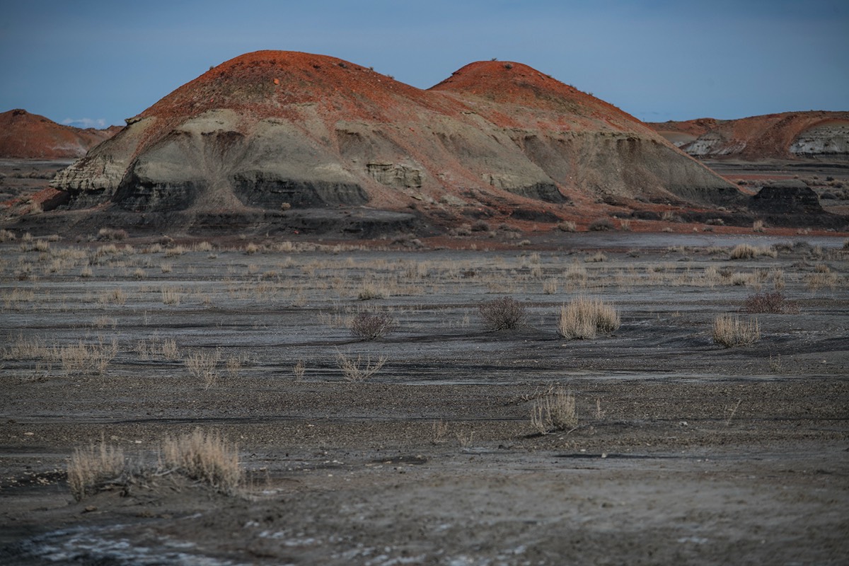 Stacks Image 131