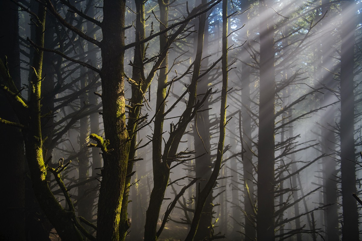Stacks Image 152