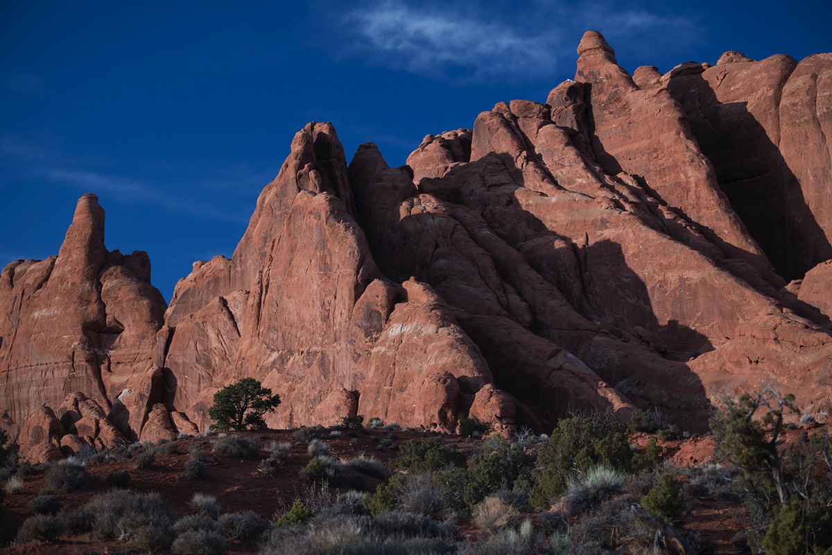 Stacks Image 104