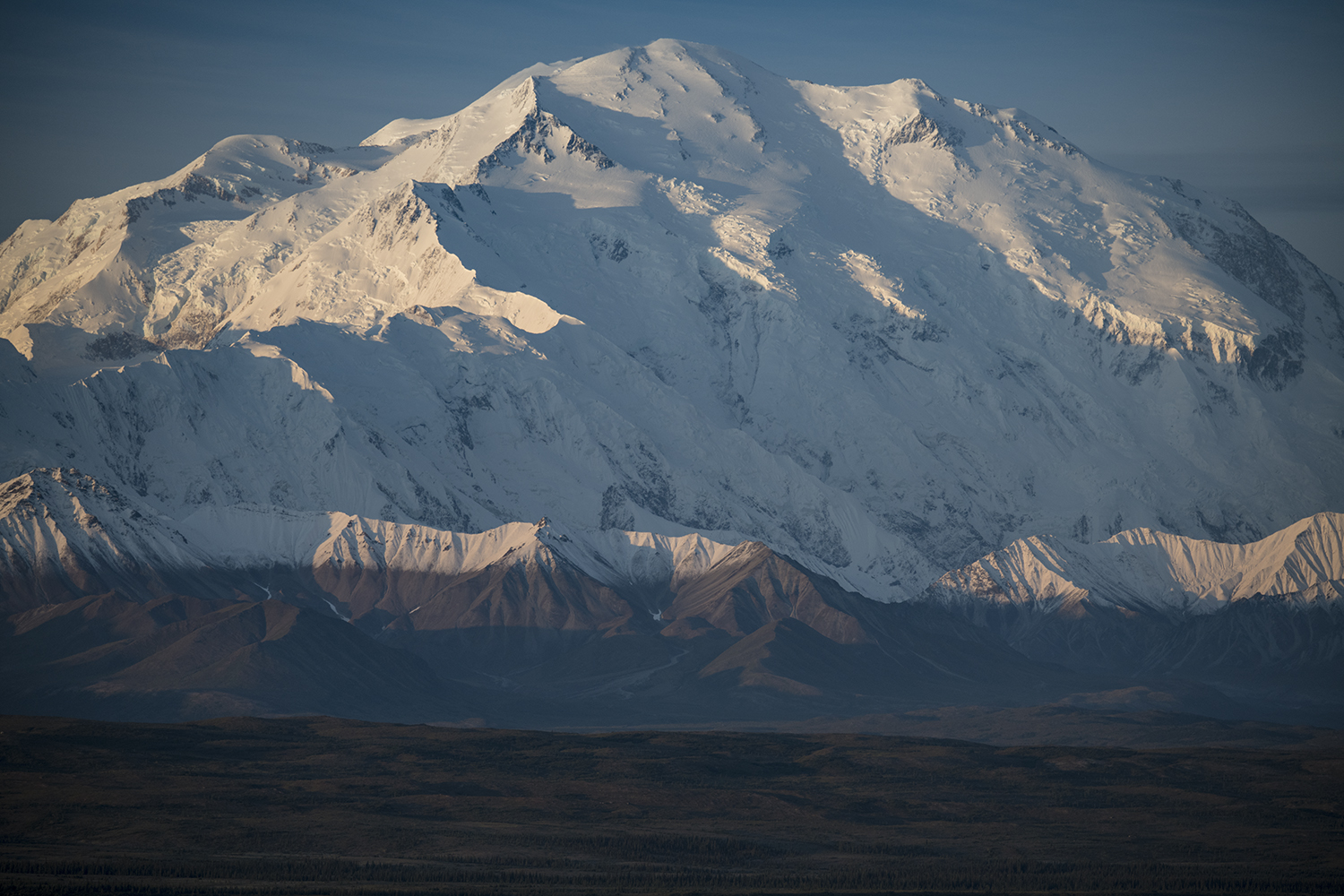 Denali Park Road MWDSC_5461