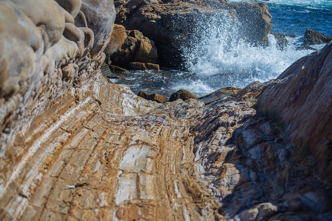 MWRDSC_6418