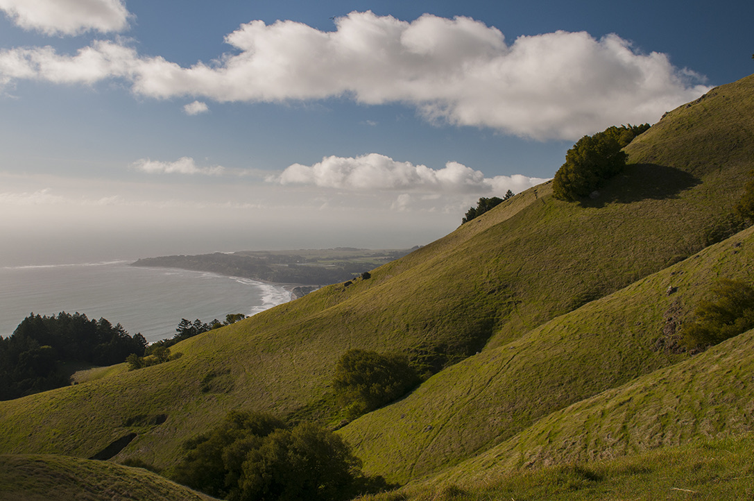 Mount Tamalpais SP, CA