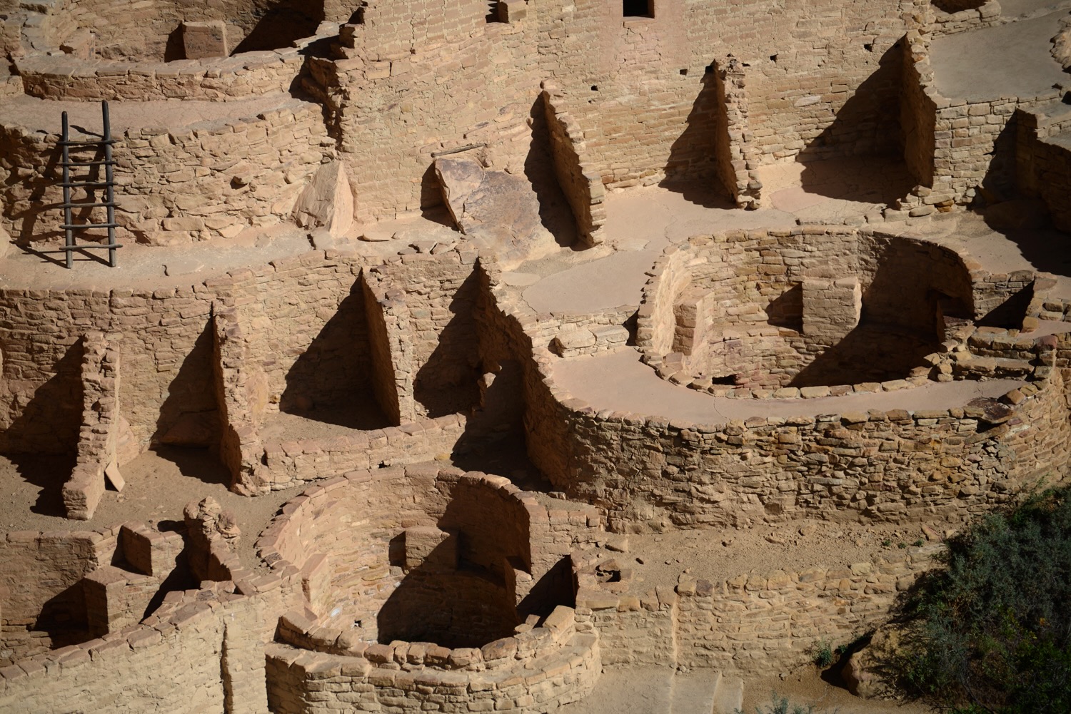 MWDSC_7980