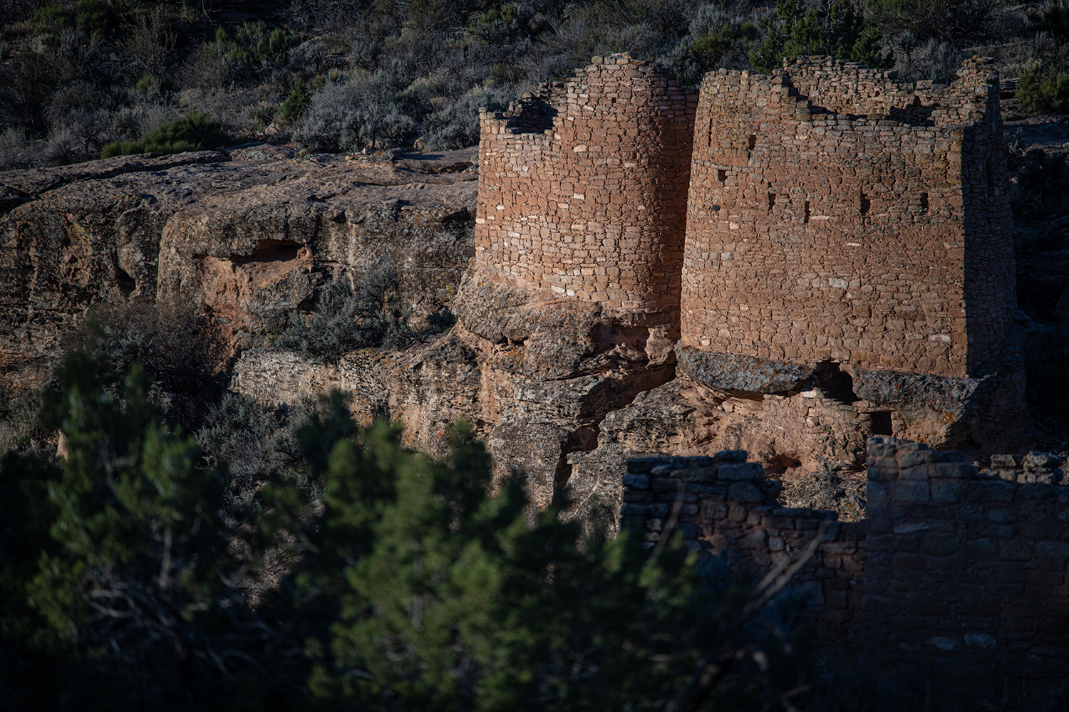 MWDSC_7120